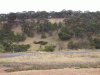 scenary01