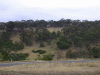 scenary02