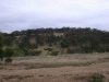 scenary04