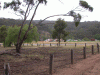stg_view1